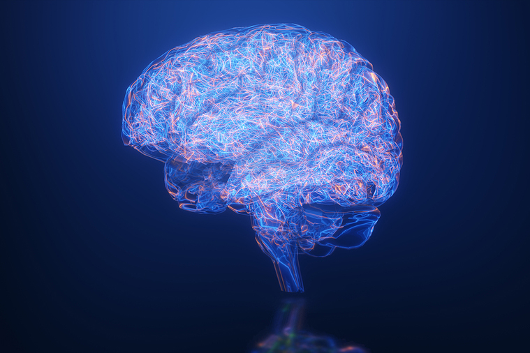 Brain (Credit: Bigstock)