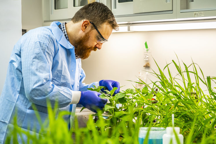 Plant Growth Laboratory