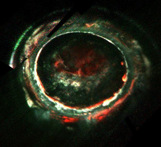 Ultraviolet auroral images of Jupiter