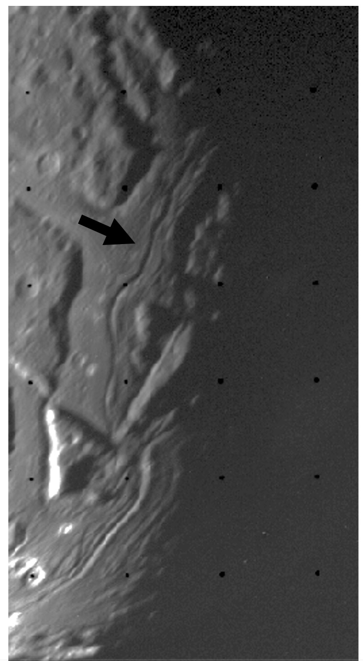 Medial groove on the surface of Ariel